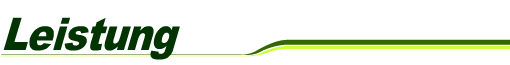 Leistung